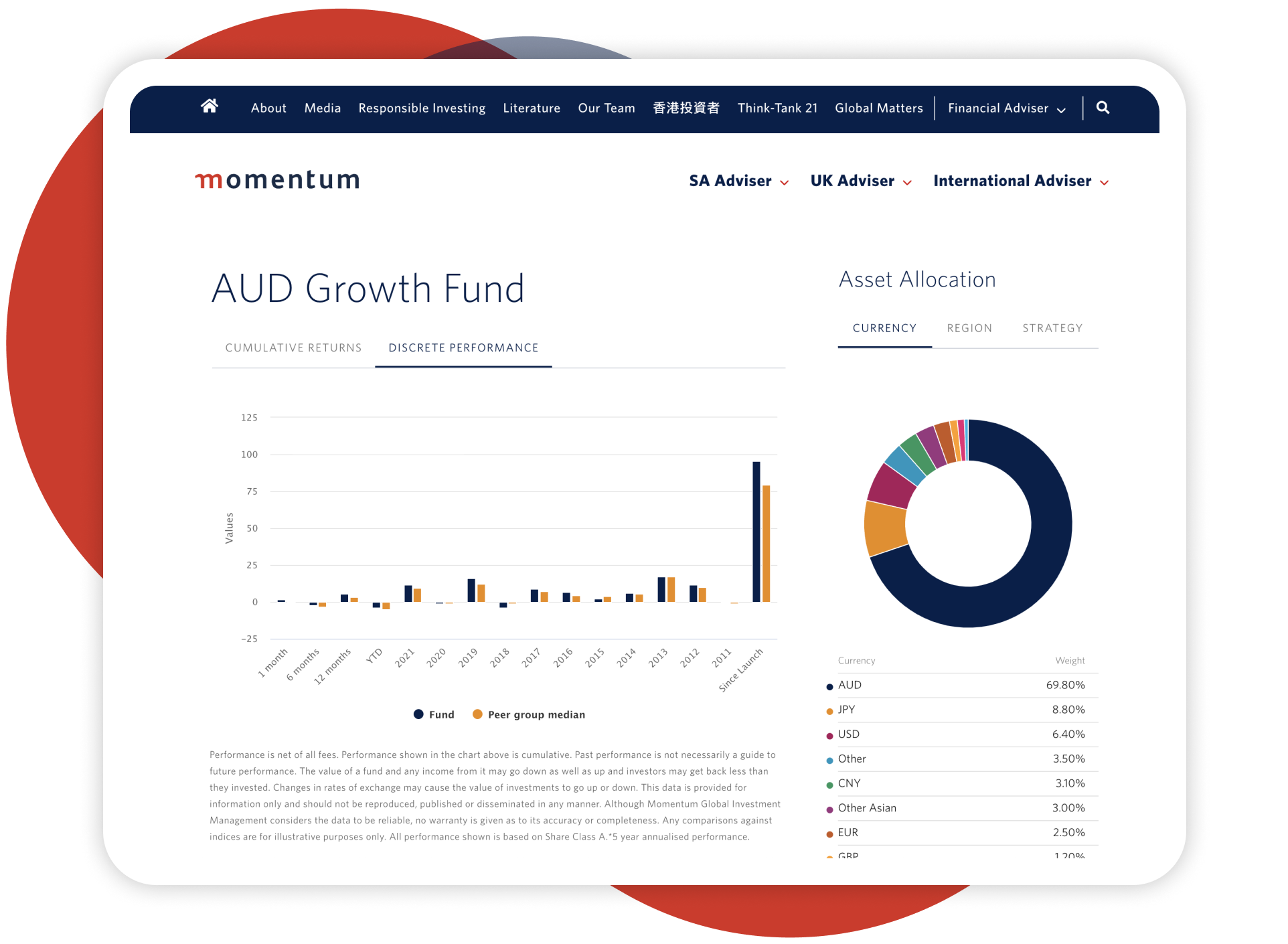 Momentum Fund Factsheet mockup