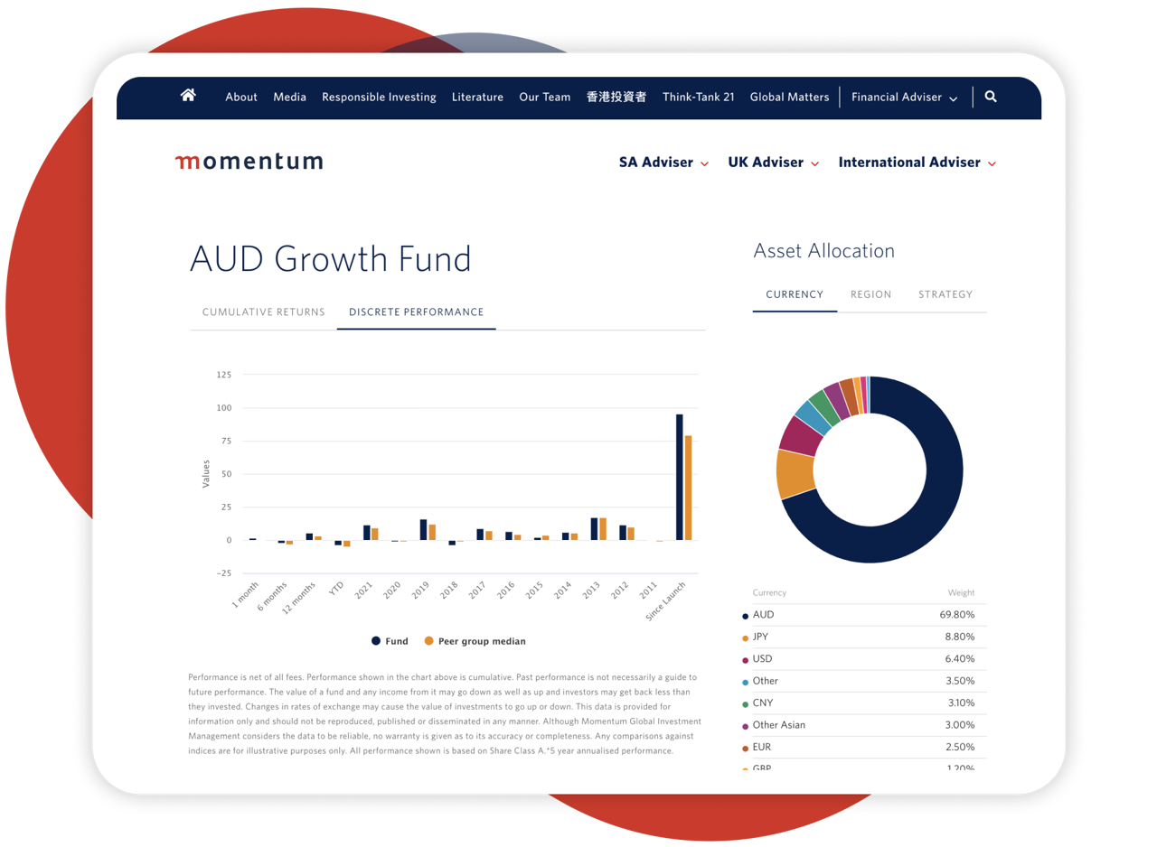 Momentum Fund Factsheet mockup